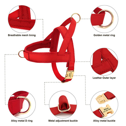 No-Pull Yorkie Harness & Collar