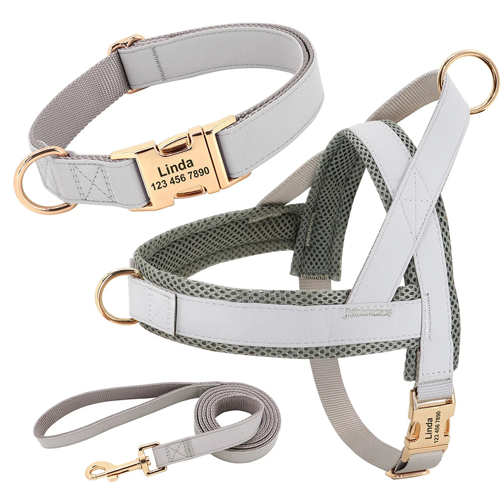 No-Pull Yorkie Harness & Collar - image 13