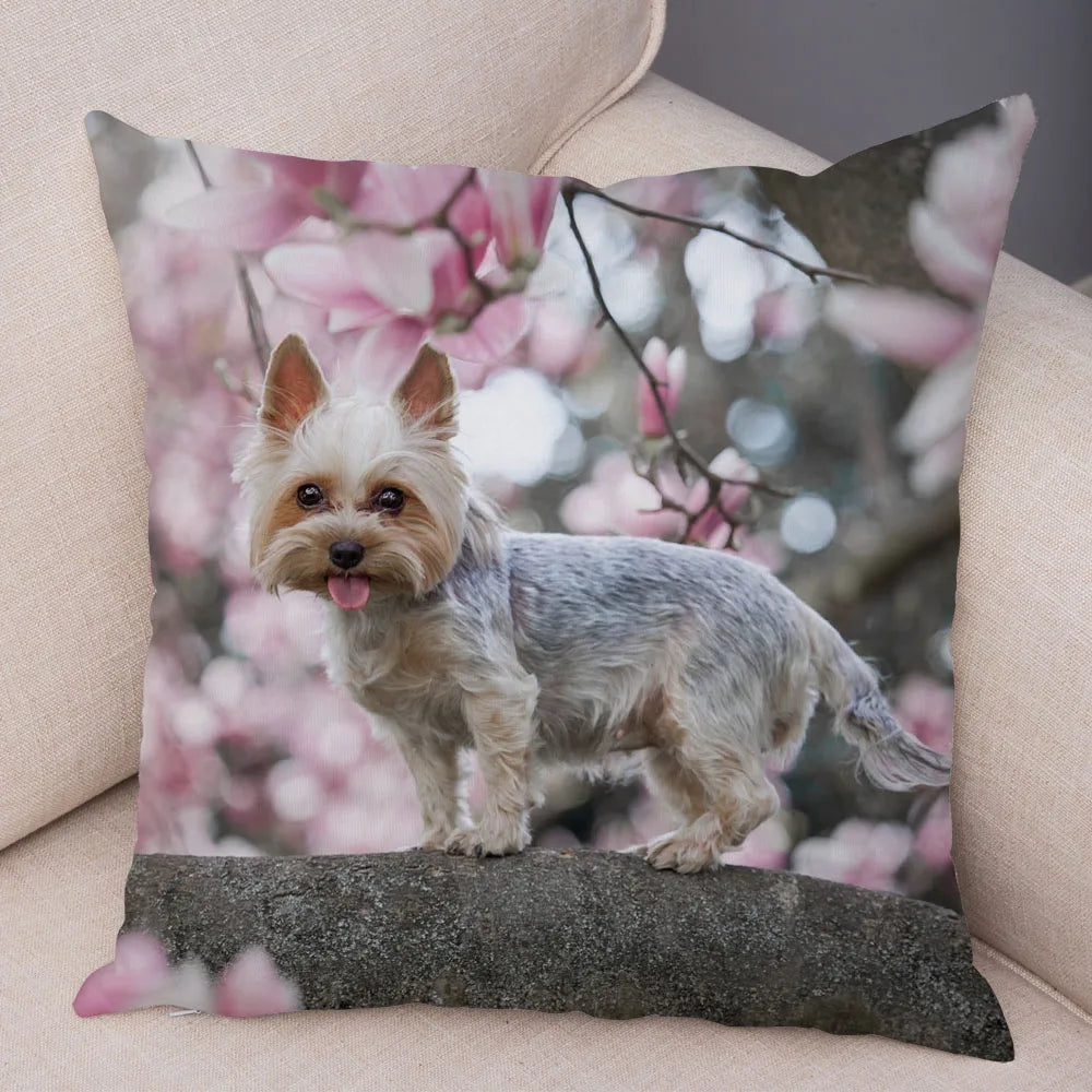 Mini Yorkie Cushion Cover