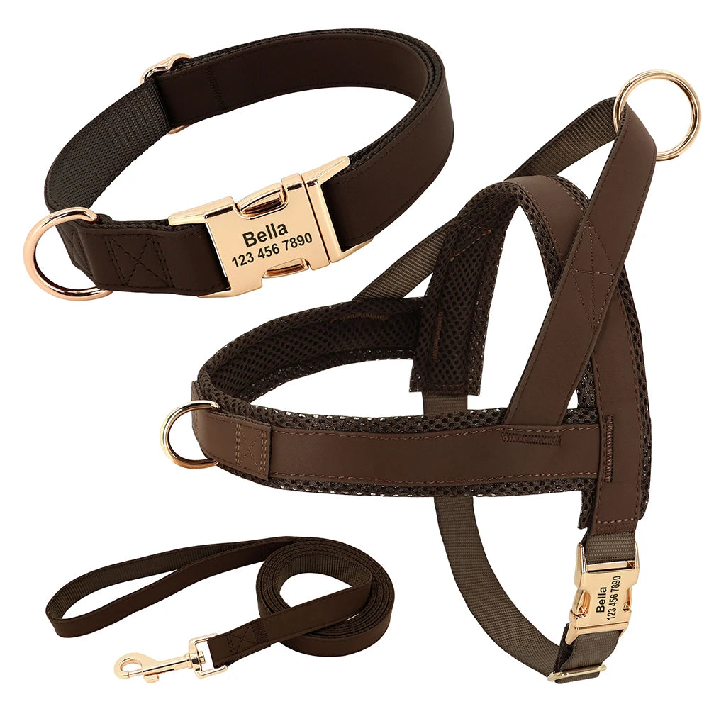 No-Pull Yorkie Harness & Collar