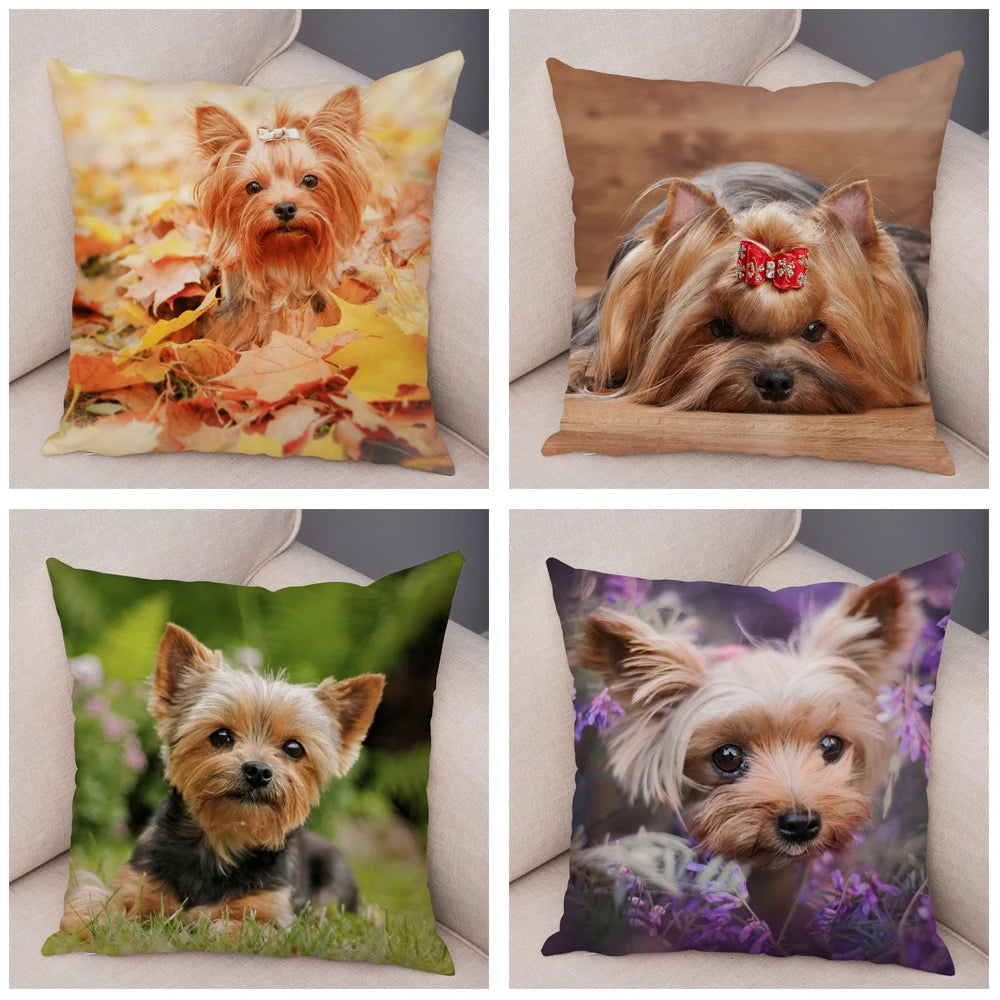 Mini Yorkie Cushion Cover