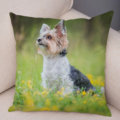 Mini Yorkie Cushion Cover