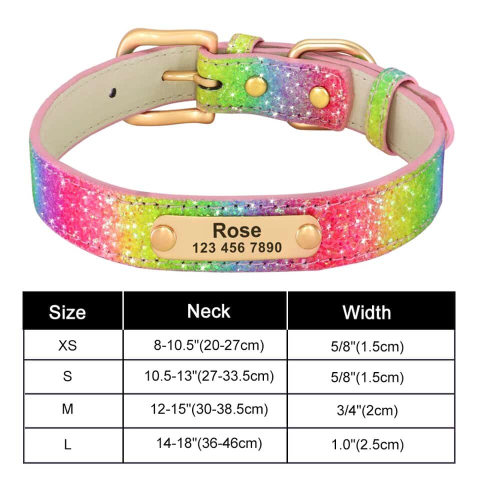 Personalized Yorkie Collar