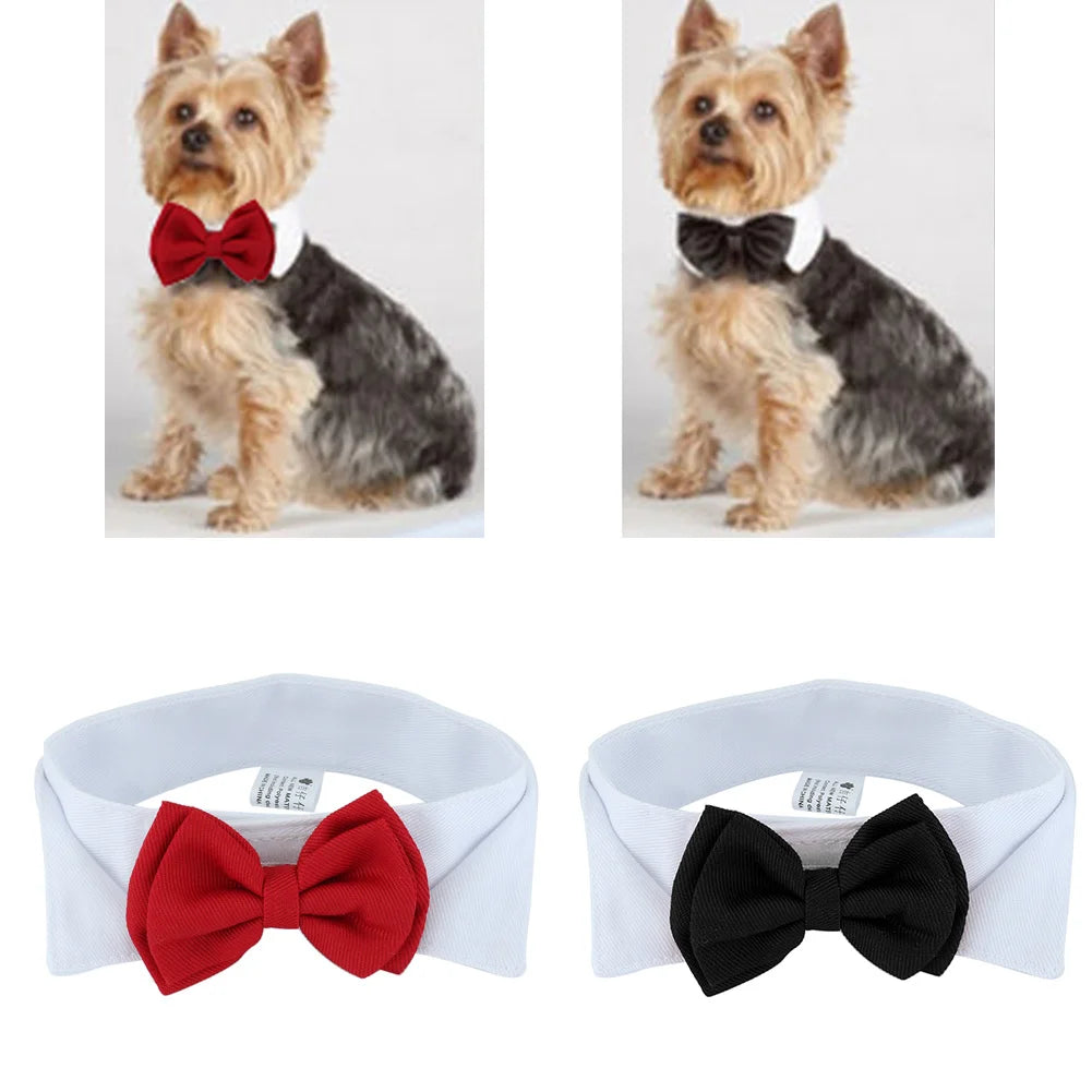 Elegant Yorkie Necktie