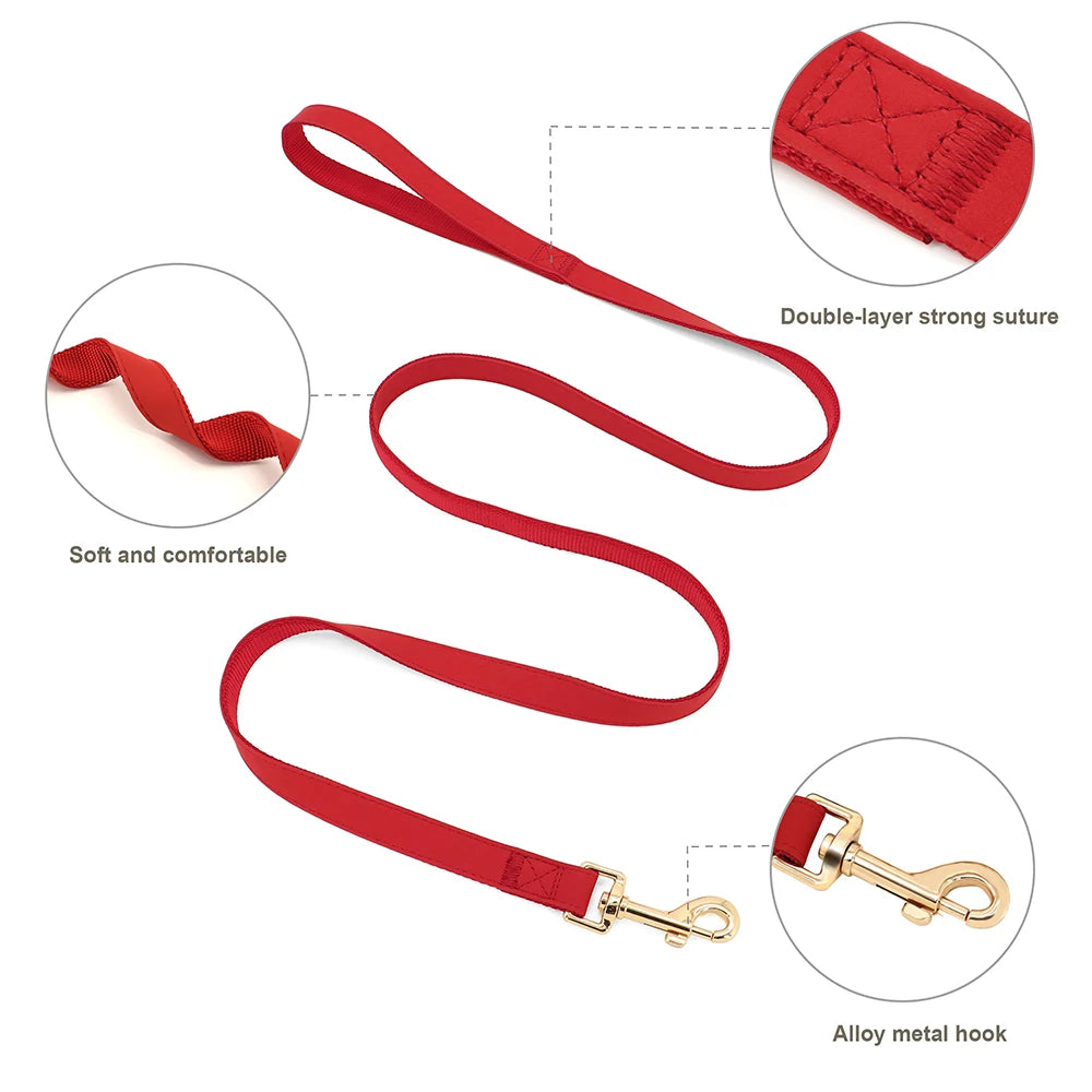 No-Pull Yorkie Harness & Collar