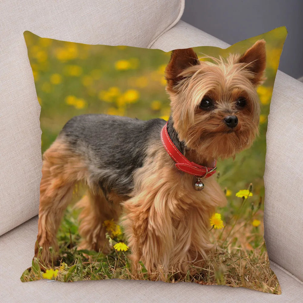 Mini Yorkie Cushion Cover