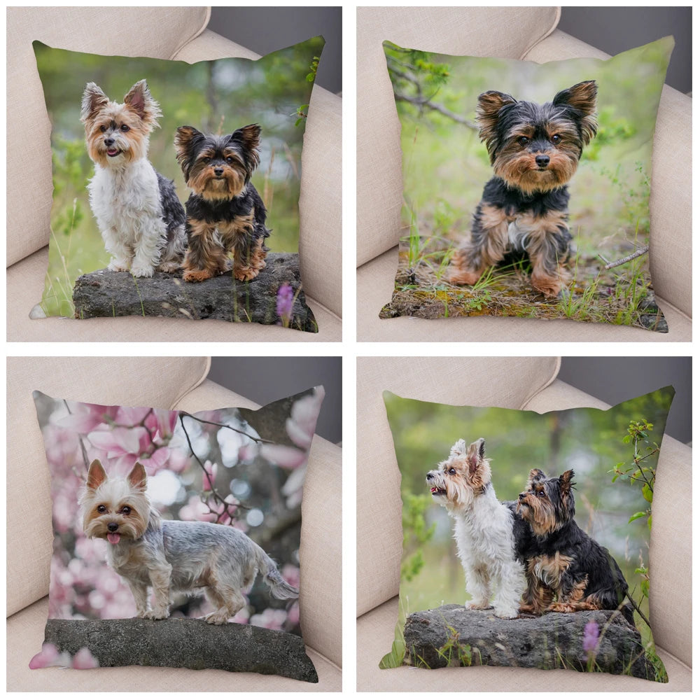 Mini Yorkie Cushion Cover
