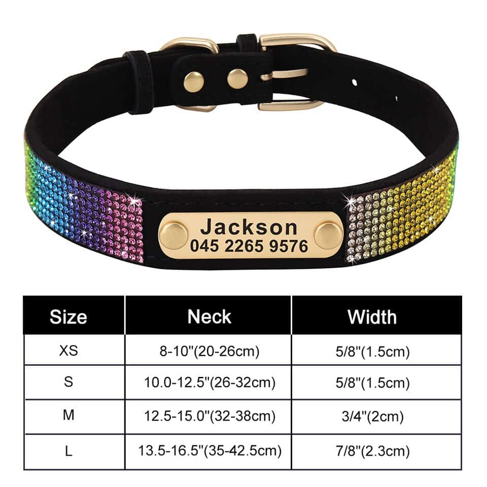 Personalized Yorkie Collar