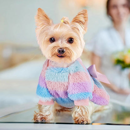 Rainbow Winter Yorkie Dress