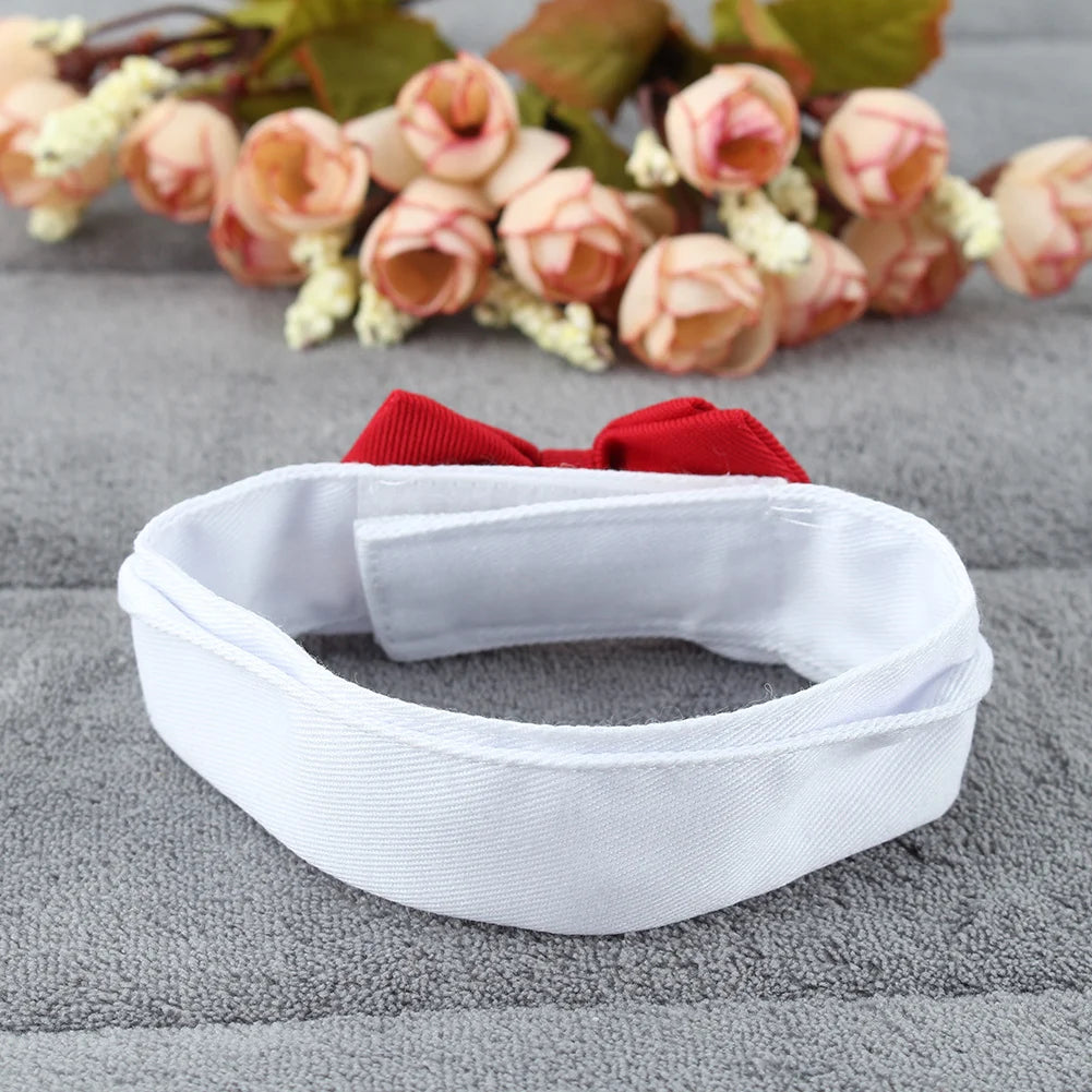 Elegant Yorkie Necktie