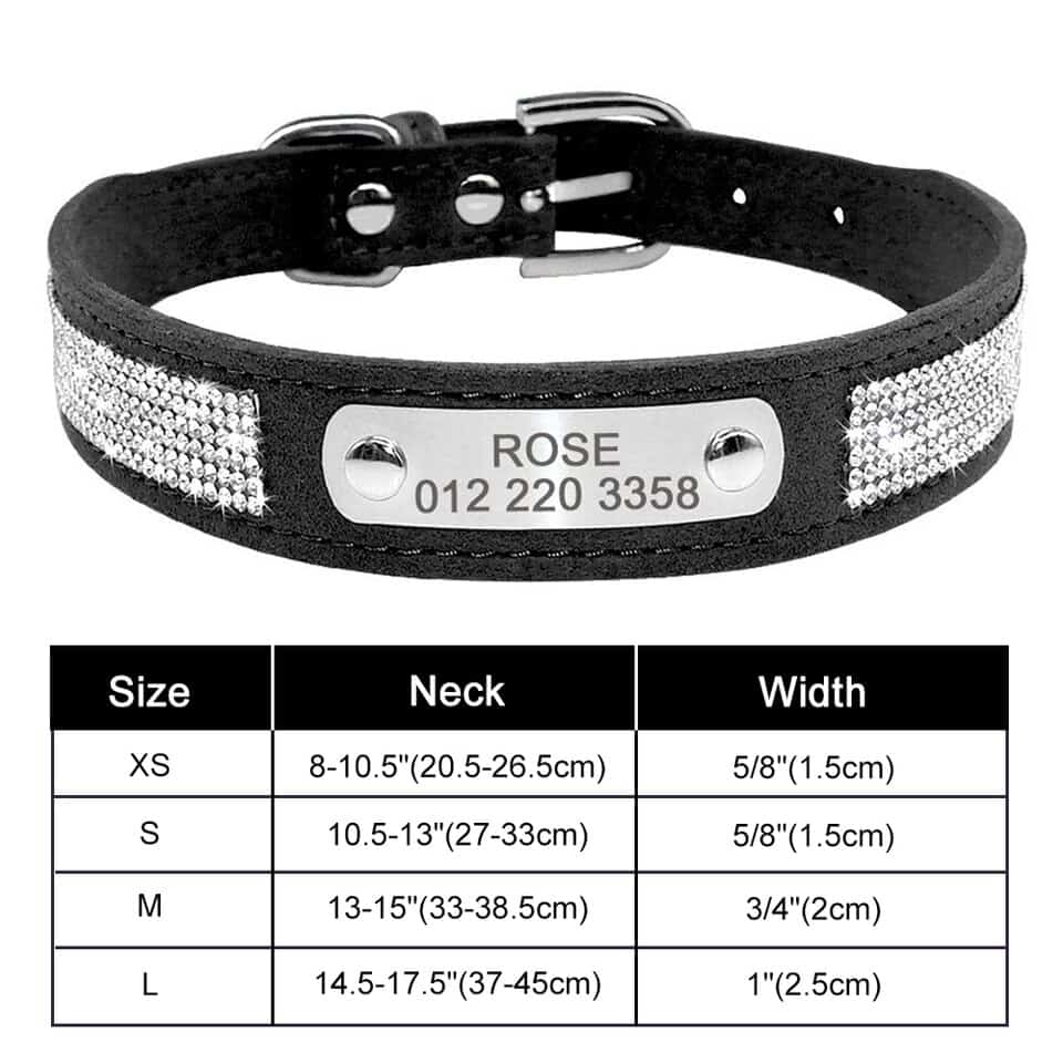 Personalized Yorkie Collar