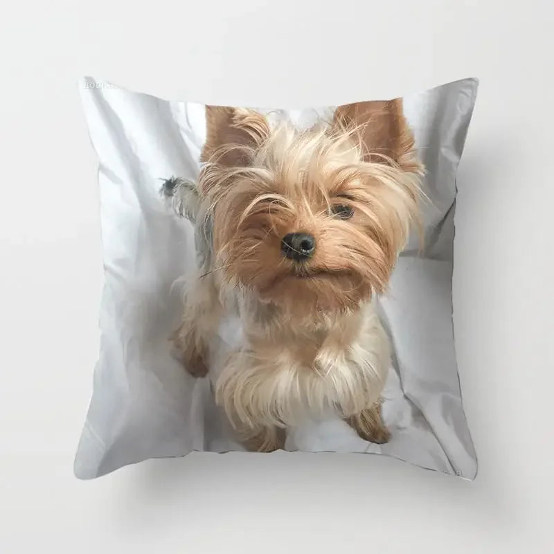 Yorkie Decor Pillow Case