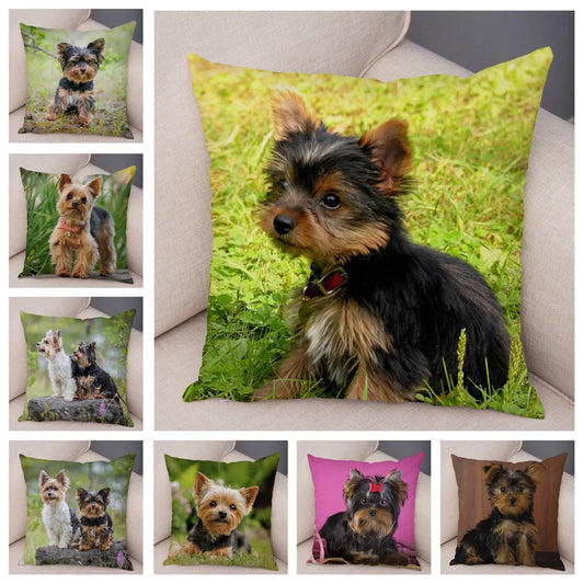 Mini Yorkie Cushion Cover