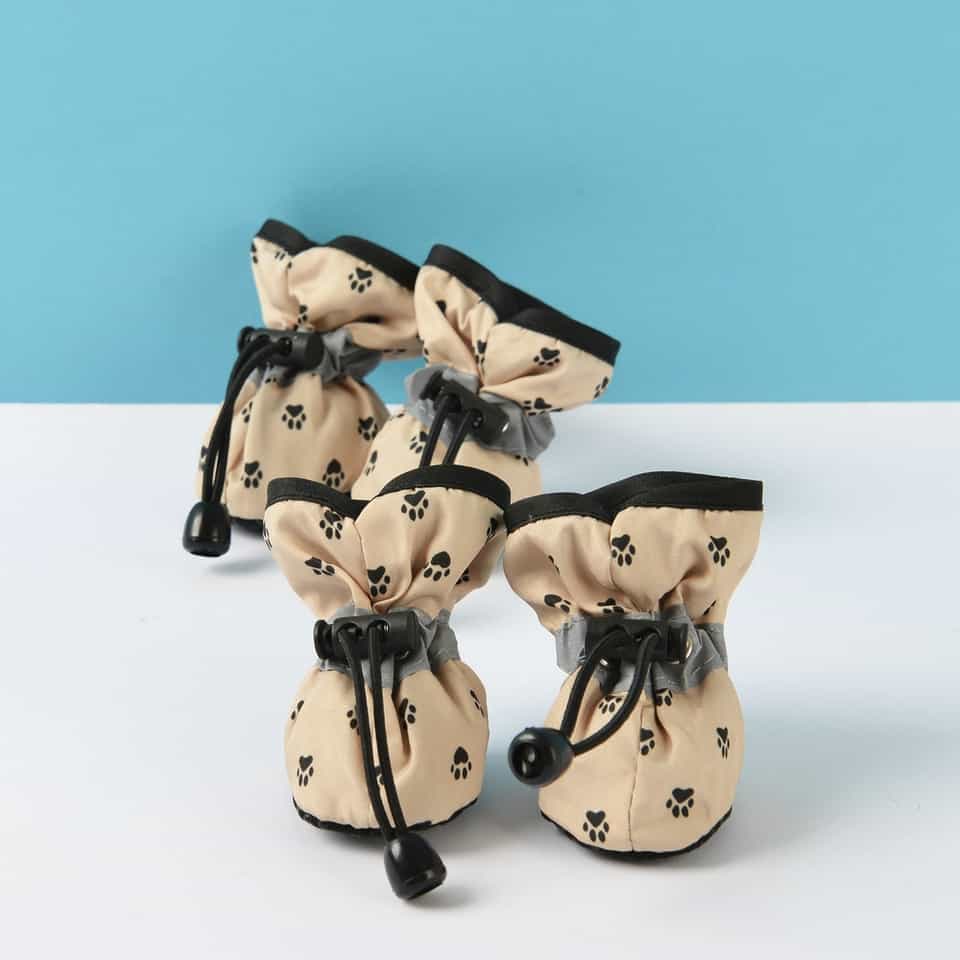 Winter Yorkie Boots