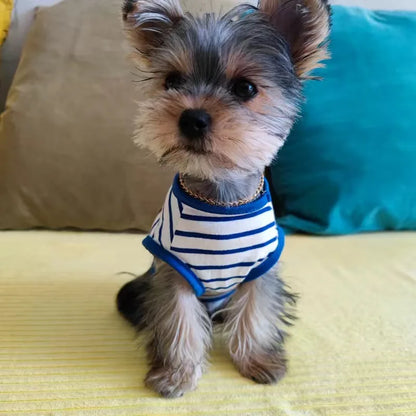 Yorkie Summer Casual T-shirt