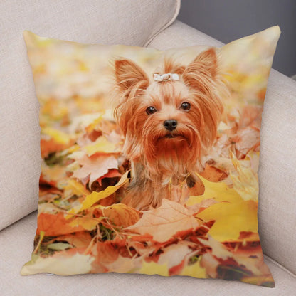 Mini Yorkie Cushion Cover