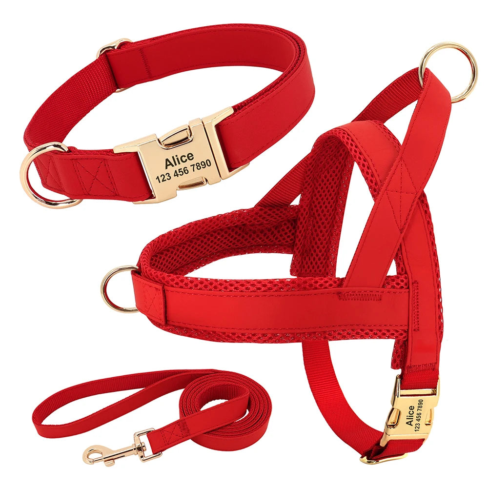 No-Pull Yorkie Harness & Collar - image 14
