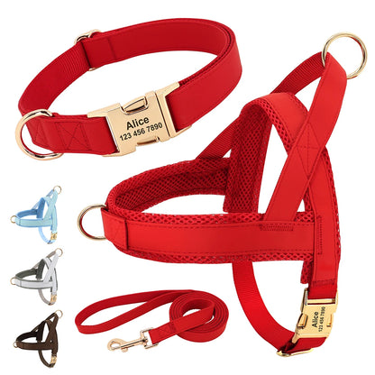 No-Pull Yorkie Harness & Collar