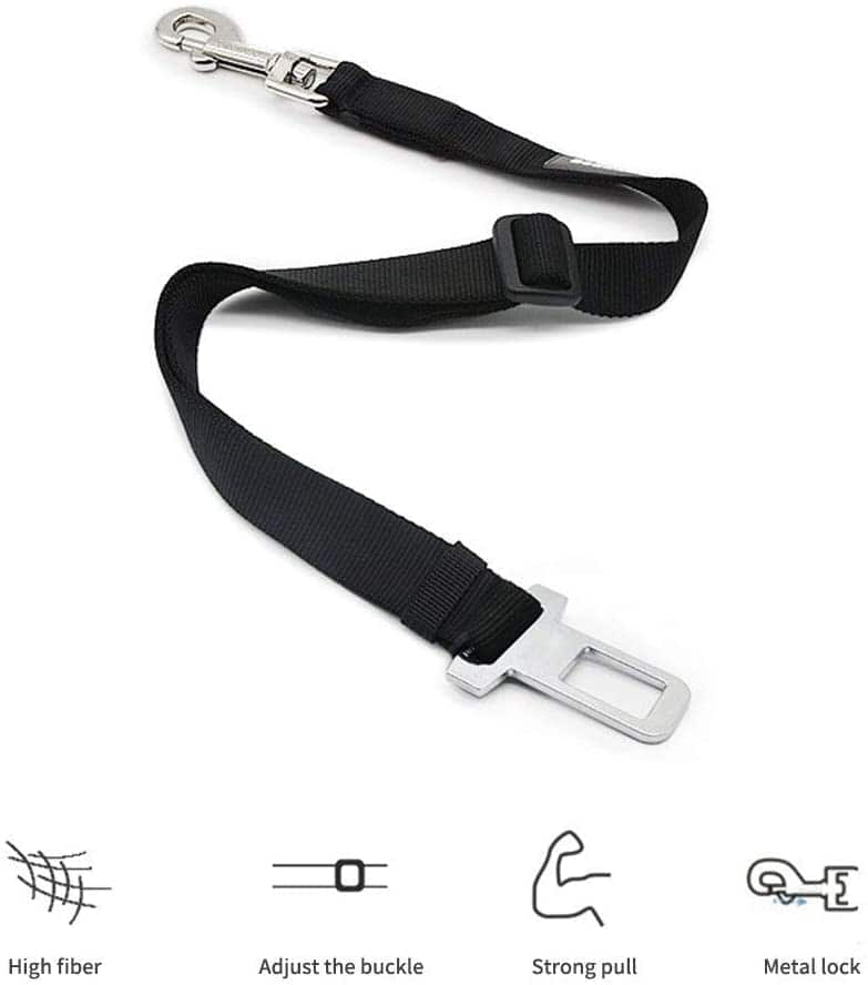 Yorkie Safety Belt
