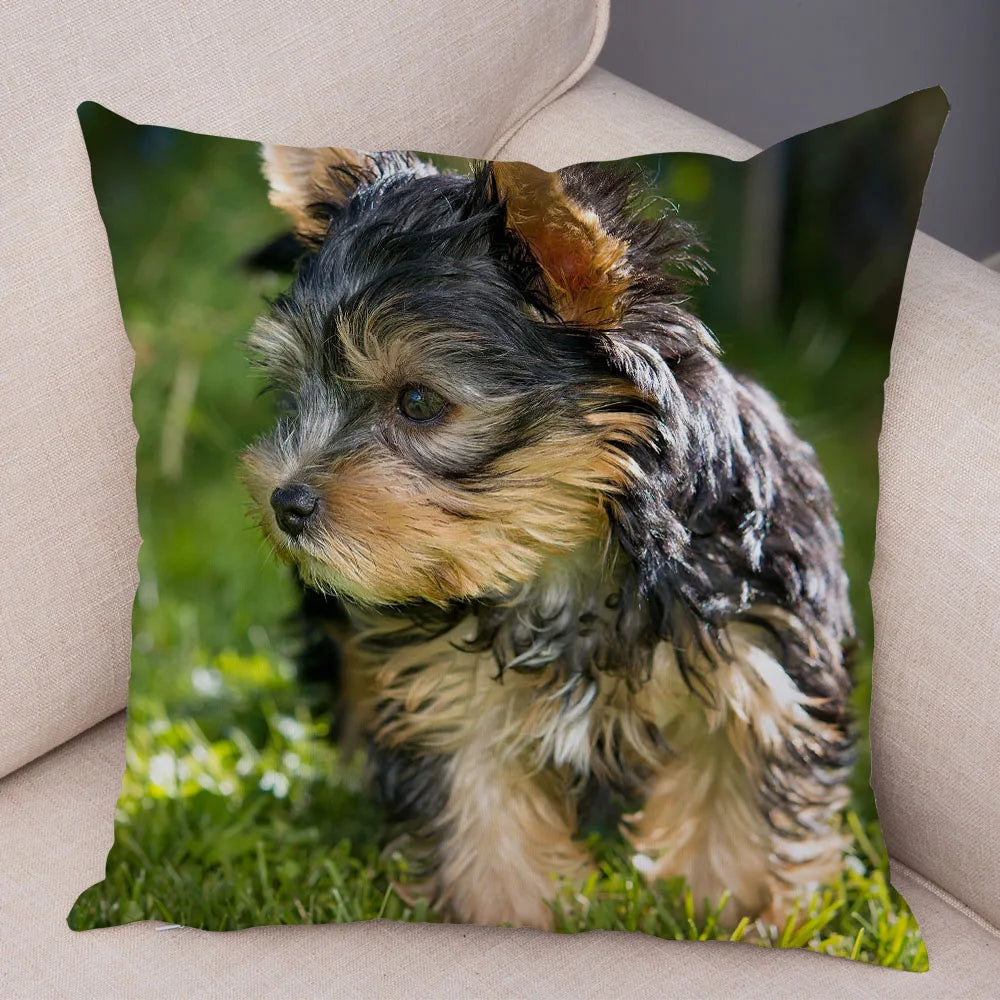 Mini Yorkie Cushion Cover - image 45
