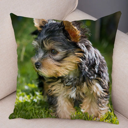 Mini Yorkie Cushion Cover