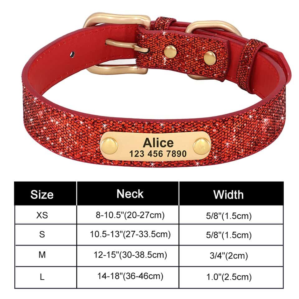 Personalized Yorkie Collar
