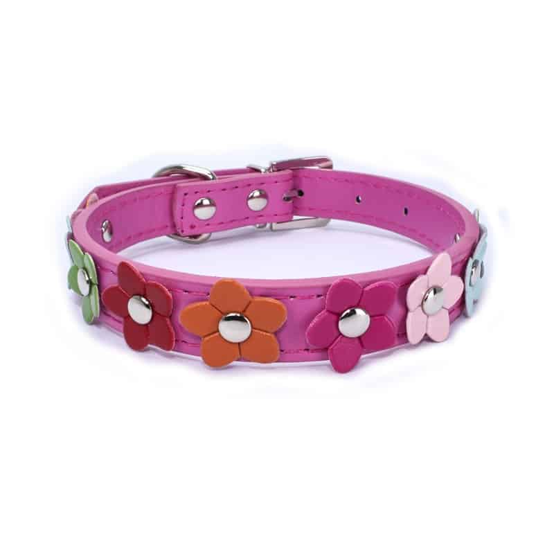 Flowers Yorkshire Terrier Collar