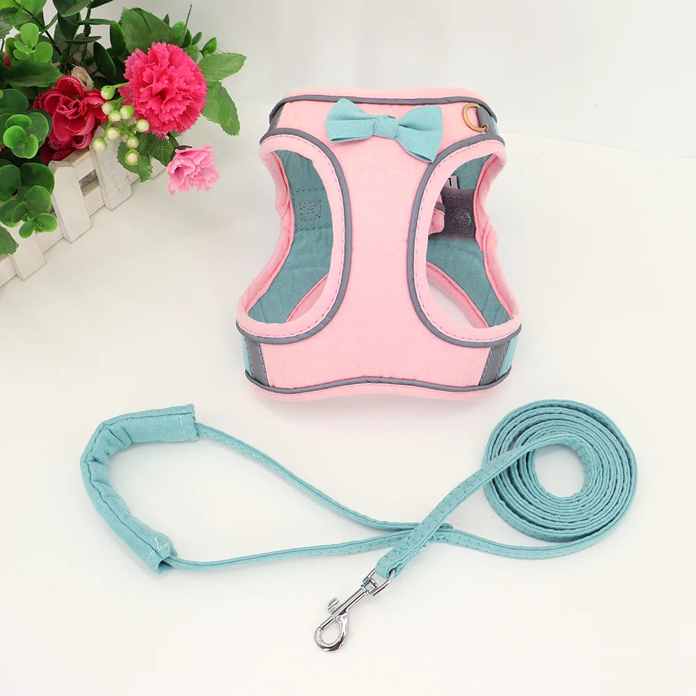 summertime yorkie harness