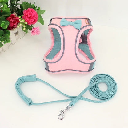summertime yorkie harness