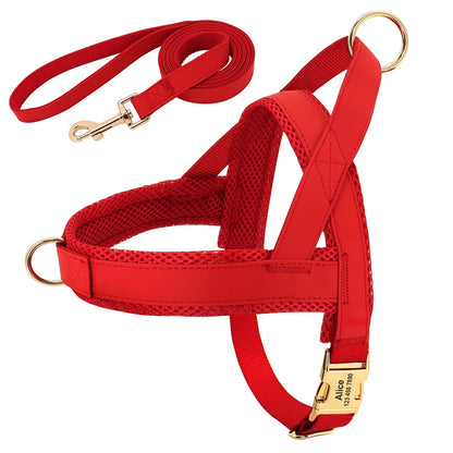 No-Pull Yorkie Harness & Collar