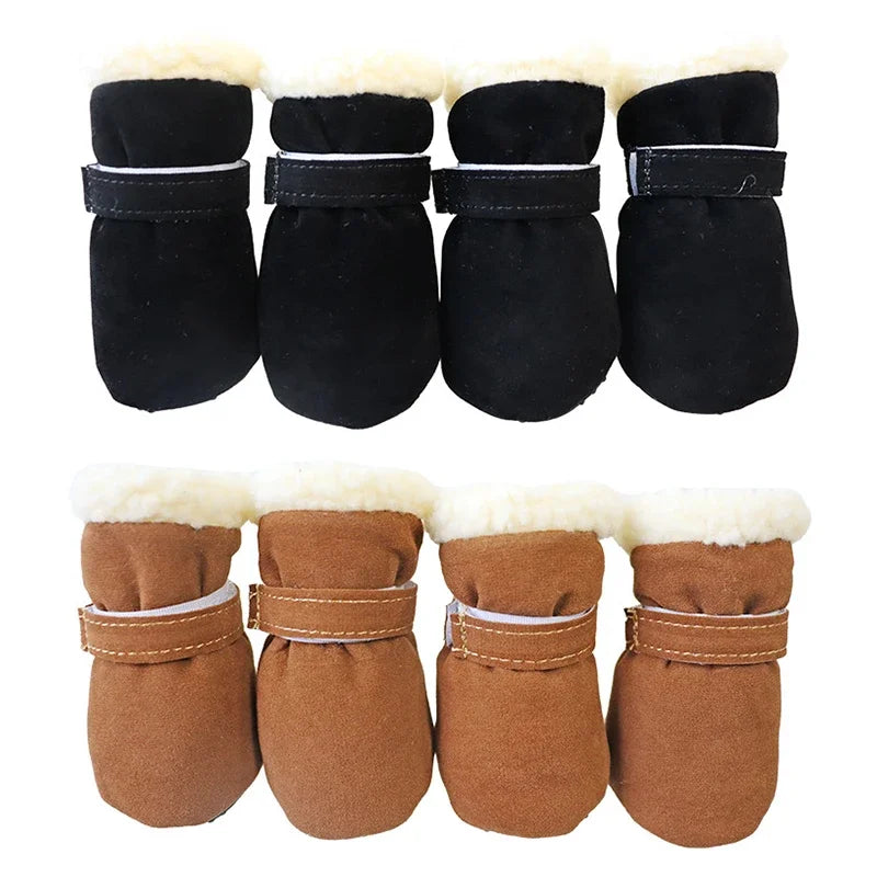 warm yorkie boots