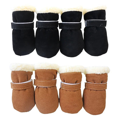 warm yorkie boots