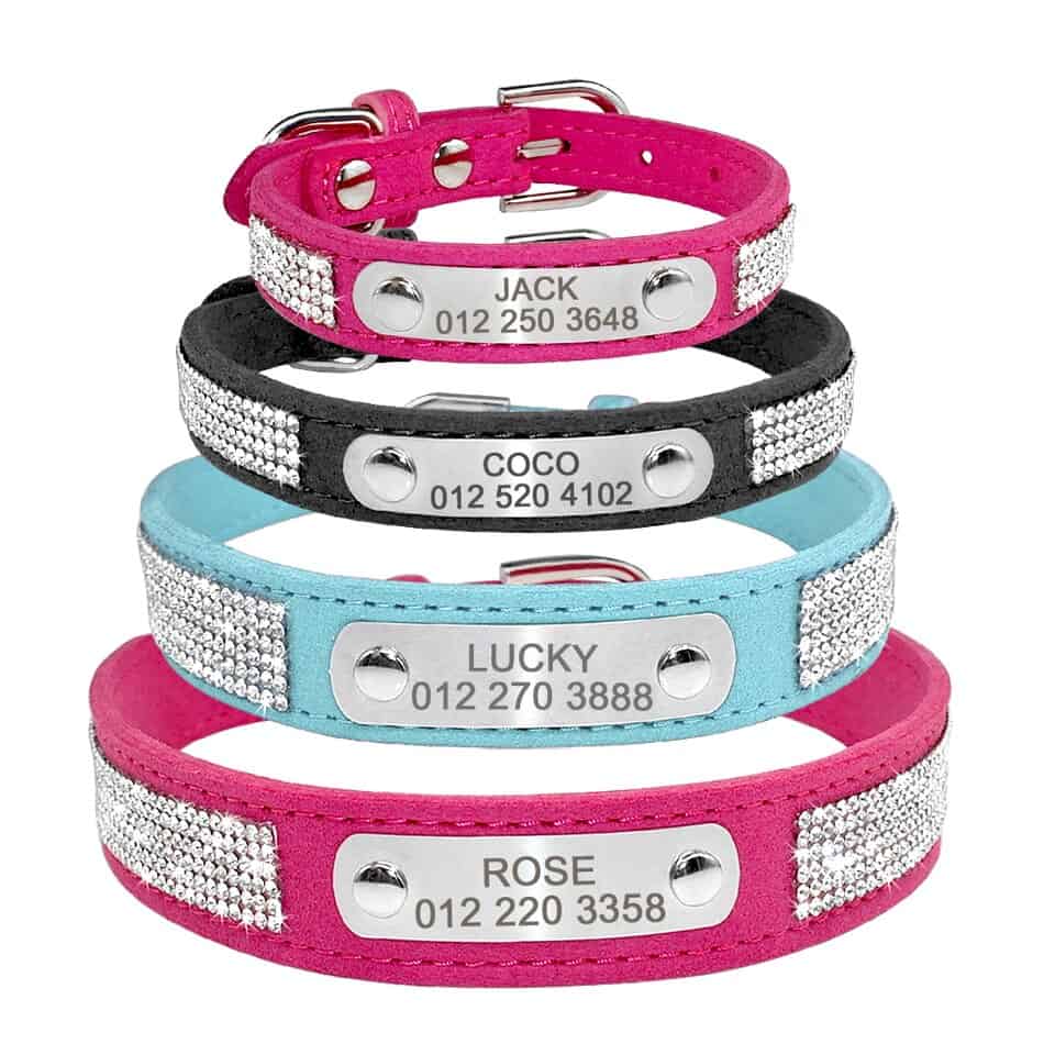 Personalized Yorkie Collar