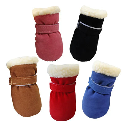warm yorkie boots