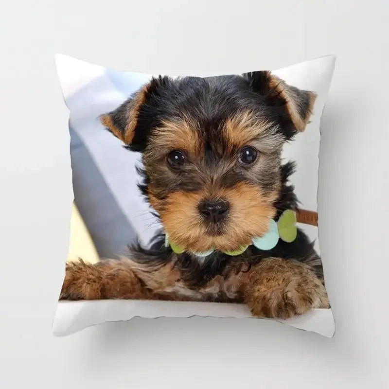 Yorkie Decor Pillow Case