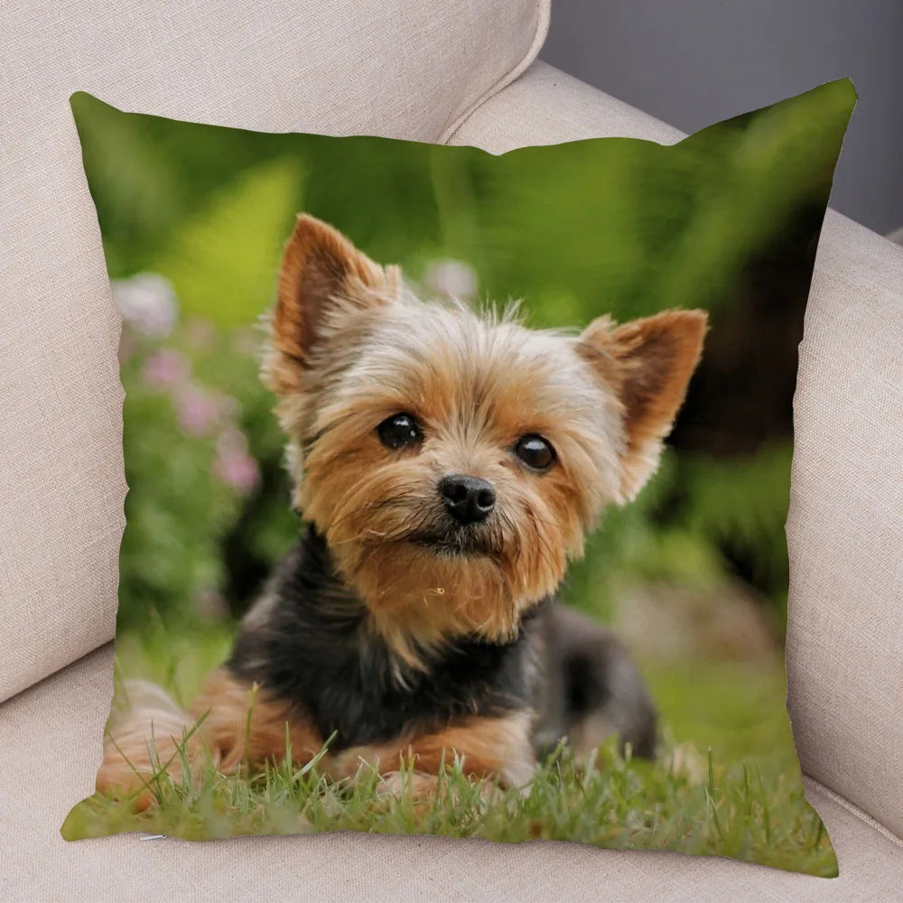 Mini Yorkie Cushion Cover