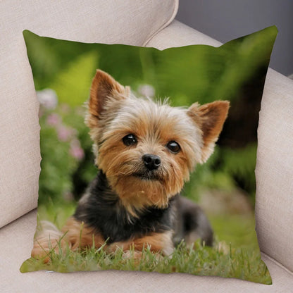 Mini Yorkie Cushion Cover