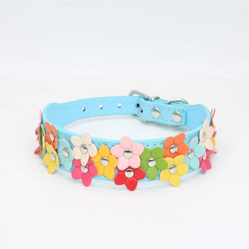 Flowers Yorkshire Terrier Collar