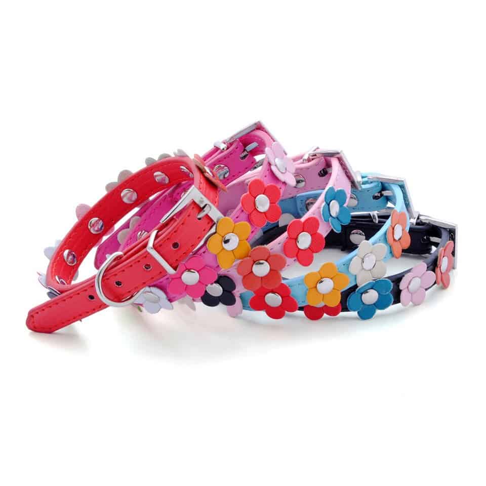 Flowers Yorkshire Terrier Collar