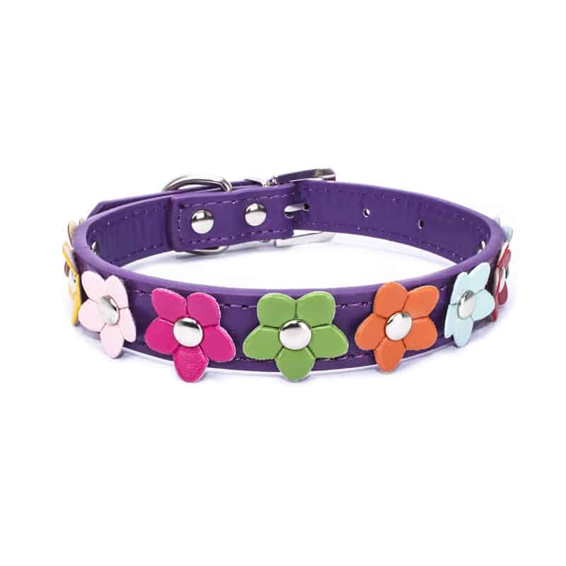 Flowers Yorkshire Terrier Collar