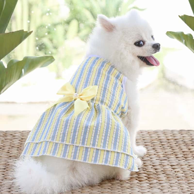 Yorkshire Terrier Princess Dresses - image 18