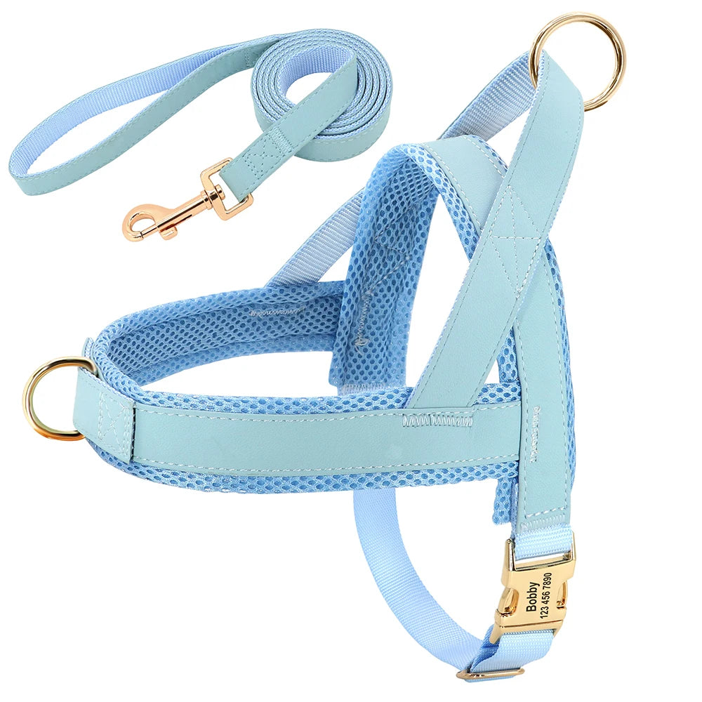 No-Pull Yorkie Harness & Collar