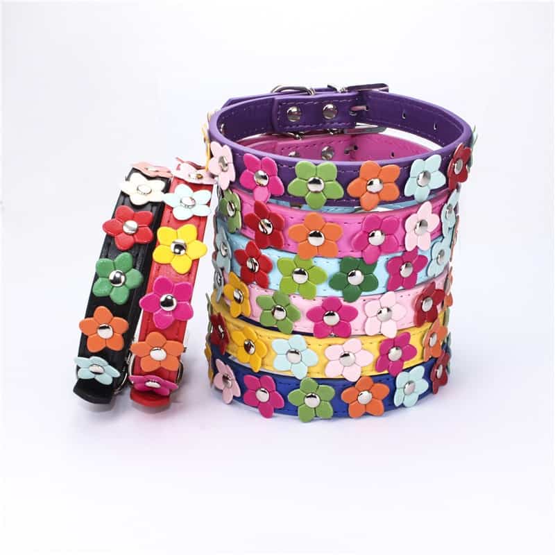 Flowers Yorkshire Terrier Collar