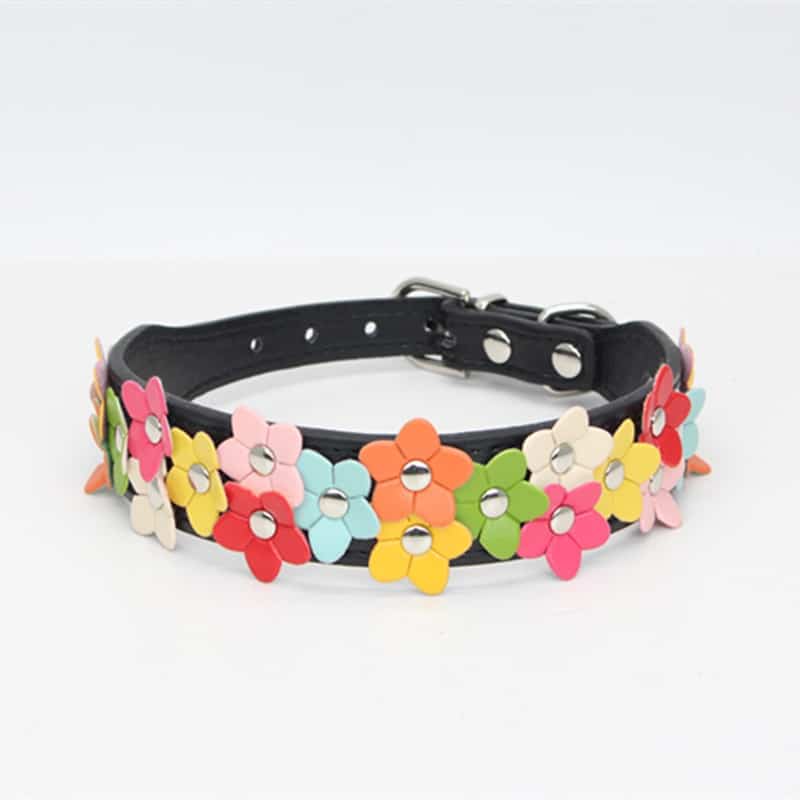 Flowers Yorkshire Terrier Collar