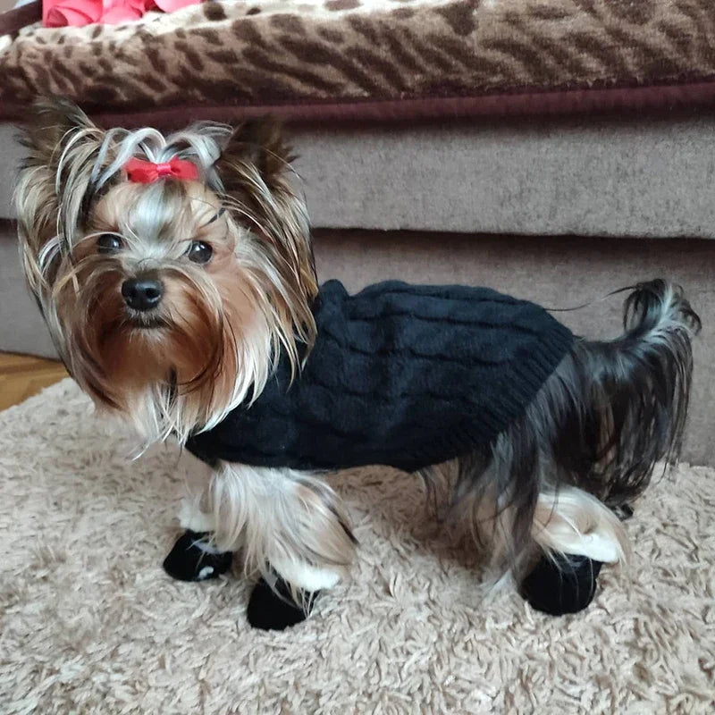 warm yorkie boots