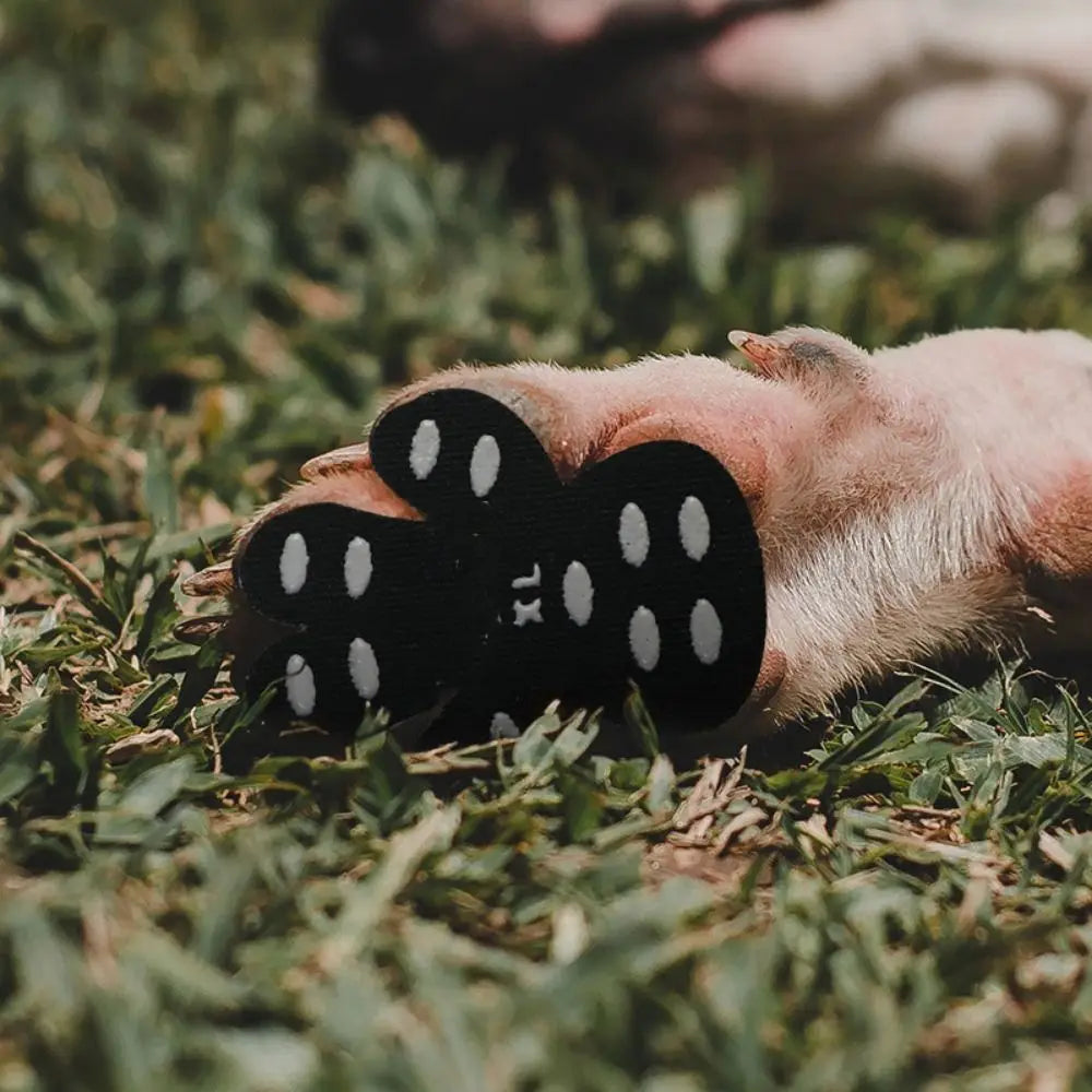 Skidproof Yorkie Pads