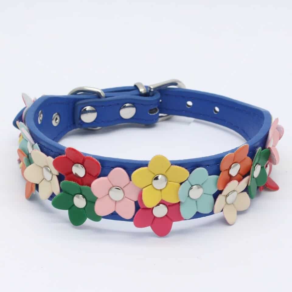 Flowers Yorkshire Terrier Collar