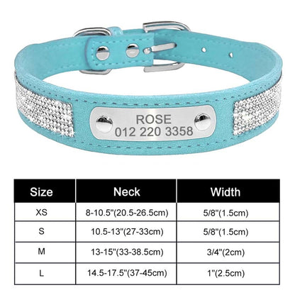 Collar personalizado para Yorkie