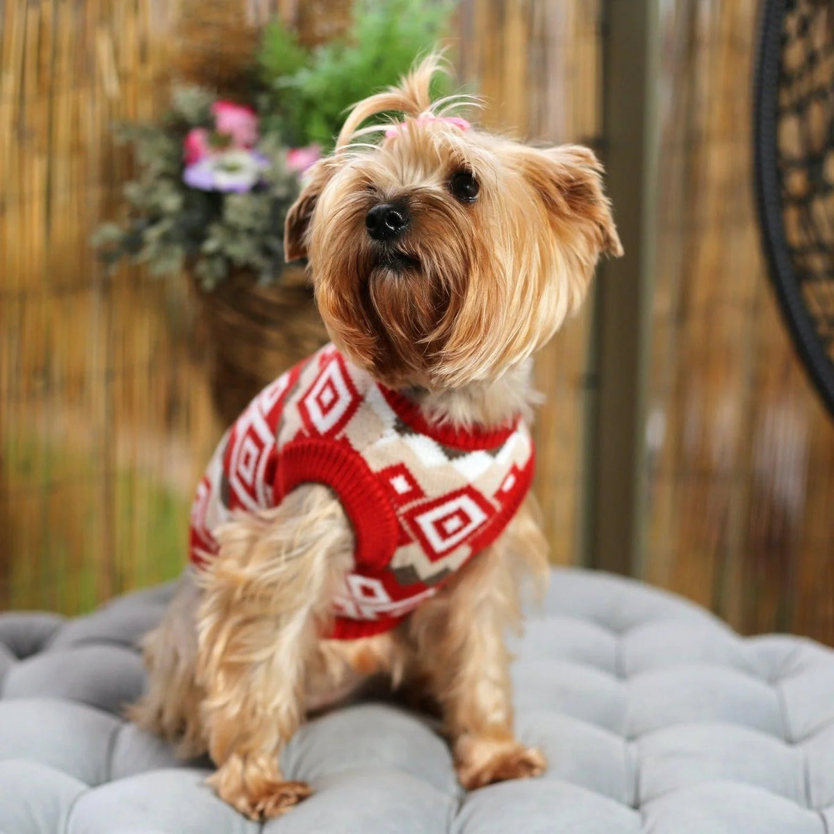 Yorkies Gram Cozy Aztec Yorkie Sweater