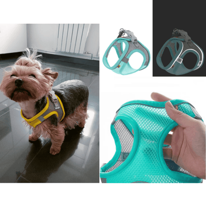 Breathable Mesh Yorkie Harness